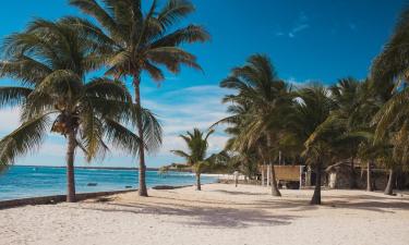 Hoteles familiares en Nembrala