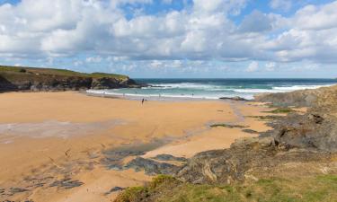 Pet-Friendly Hotels in St Merryn