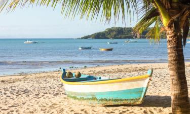 Pet-Friendly Hotels in Manguinhos