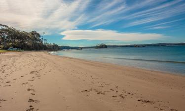 Cottages in Sunshine Bay