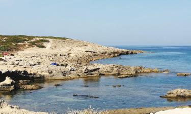 Casas y chalets en Nurachi