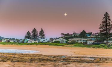 Cottages in North Avoca