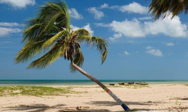 Hotéis na praia em Camarones