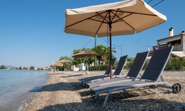 Holiday Rentals in Platanidia