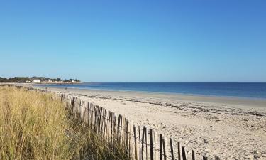 Cabañas en Locoal-Mendon