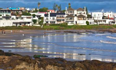 Hoteles que admiten mascotas en Manantiales