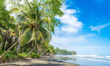 Goedkope hotels in Playa Negra