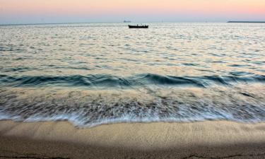 Vacaciones baratas en Porbandar