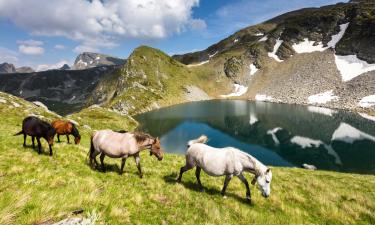 Smučarska letovišča v mestu Govedartsi