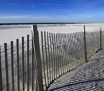 Phoenix Resorts Orange Beach