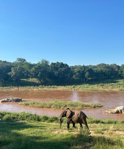 A beautiful view of Hoedspruit
