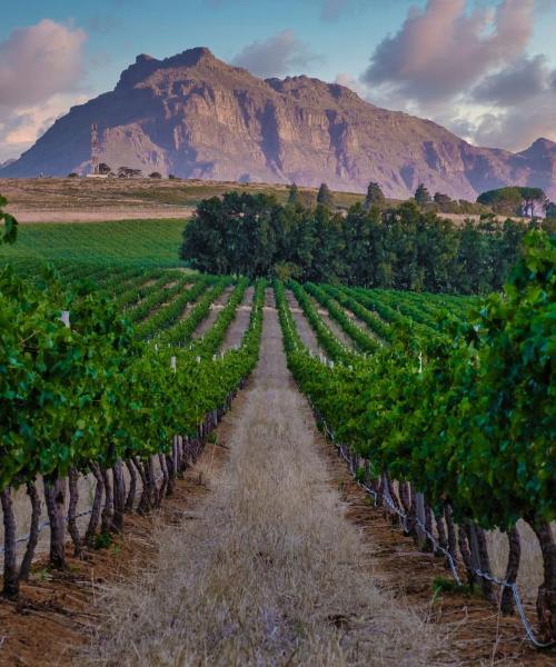 Ein schöner Blick auf Stellenbosch