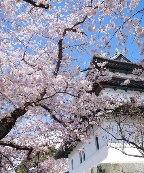 函館市の美しい景色