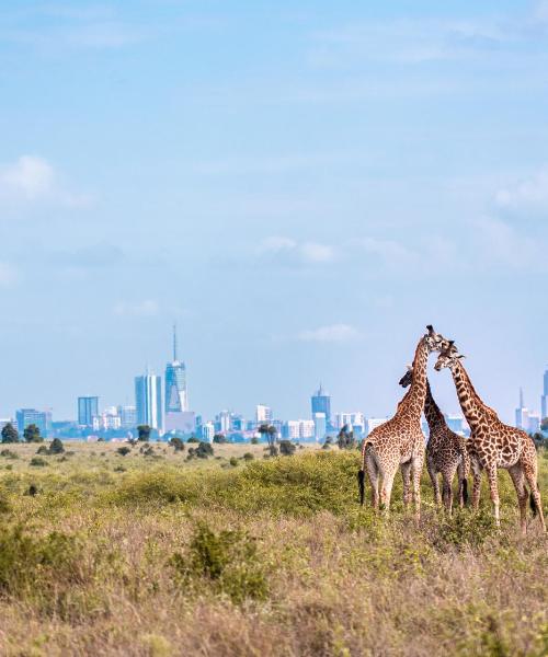 Ein schöner Blick auf Nairobi