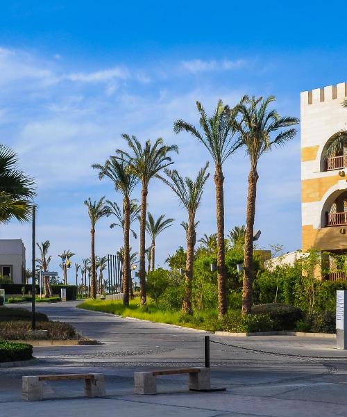 A beautiful view of Marsa Alam City