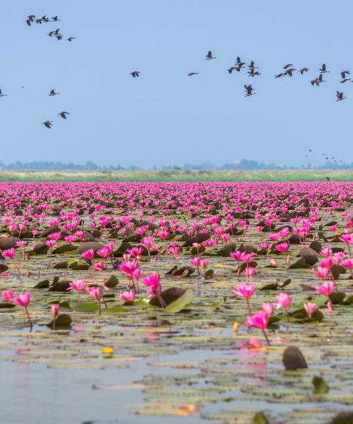 Ein schöner Blick auf Udon Thani
