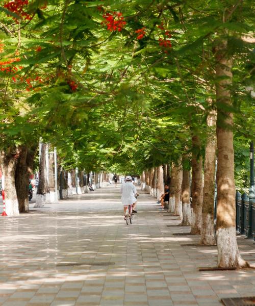 A beautiful view of Hai Phong