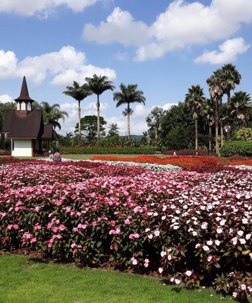 Cảnh đẹp ở Joinville