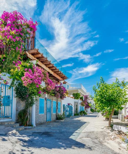 A beautiful view of Bodrum City