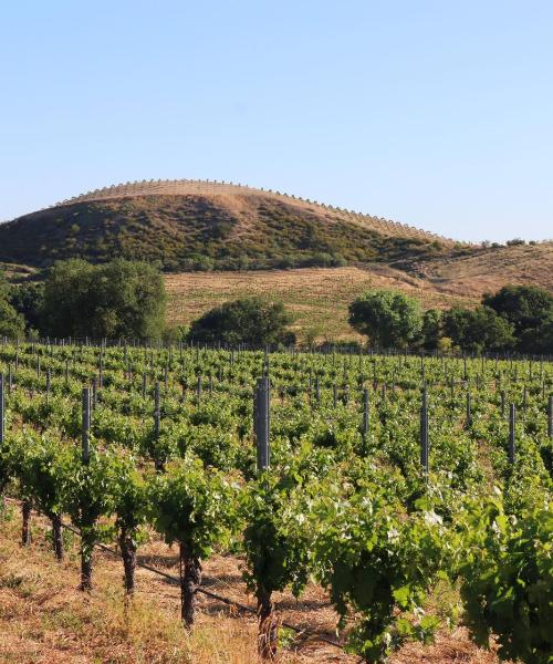 Vue imprenable sur : Paso Robles