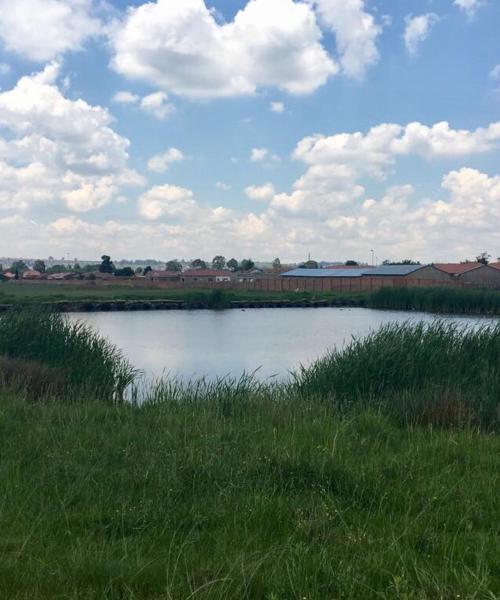 A beautiful view of Ermelo