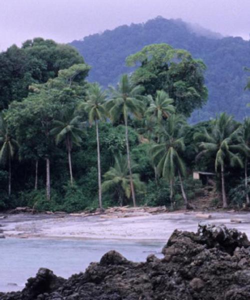 A beautiful view of Bahía Solano