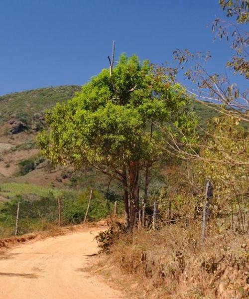 A beautiful view of Ourinhos