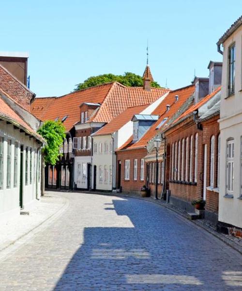 Gražus vietovės Haderslevas vaizdas