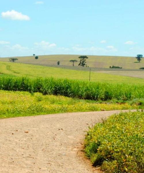 Ein schöner Blick auf Limeira