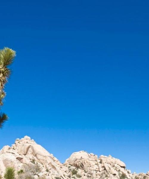 A beautiful view of Twentynine Palms