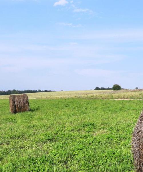 Ein schöner Blick auf Læsø