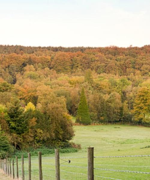 A beautiful view of Ash
