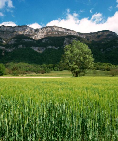 A beautiful view of Saint-Alban