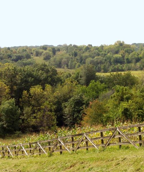 Ein schöner Blick auf Marshalltown