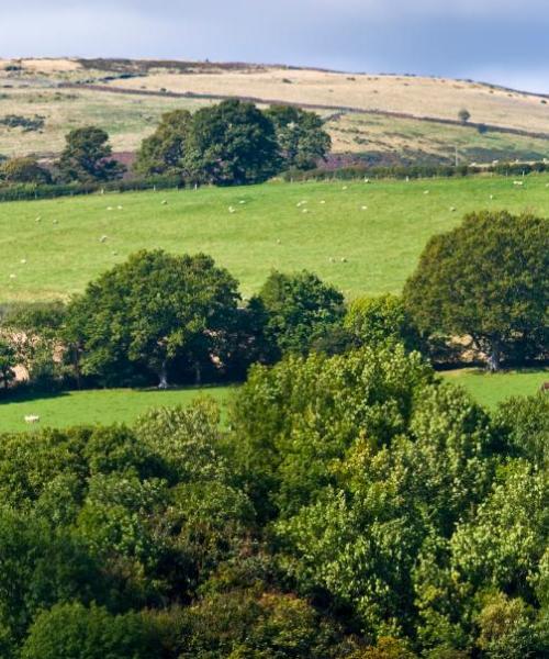 A beautiful view of Tredegar