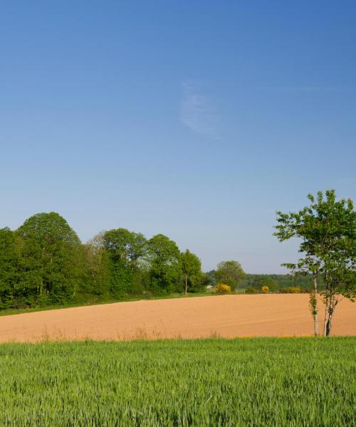 A beautiful view of Saint-Doulchard