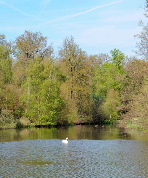 A beautiful view of Virginia Water