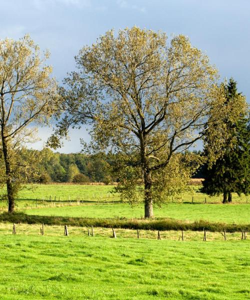 Ein schöner Blick auf Belvaux