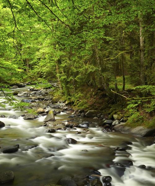 A beautiful view of East Ellijay