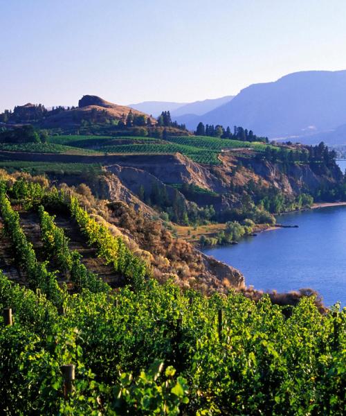 Fallegt útsýni (Penticton)