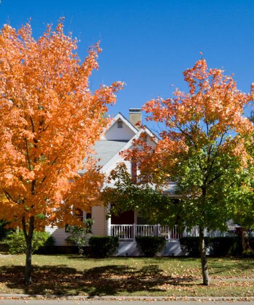 A beautiful view of Auburn