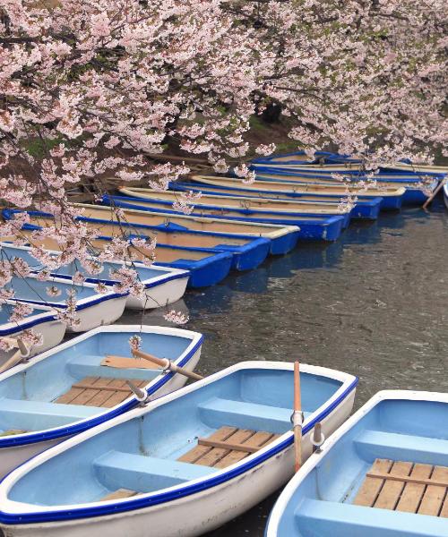 A beautiful view of Kawagoe