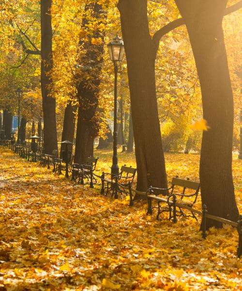A beautiful view of Piotrków Trybunalski