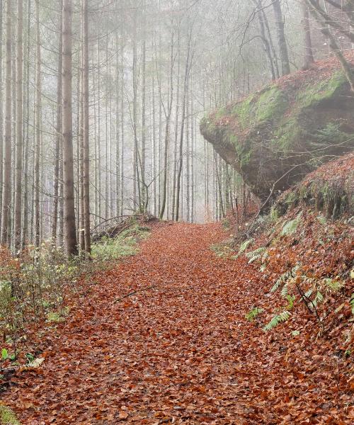 A beautiful view of Weiz