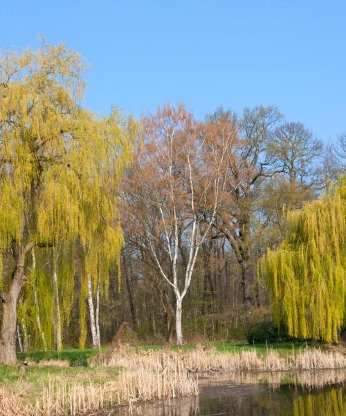 A beautiful view of Gardelegen