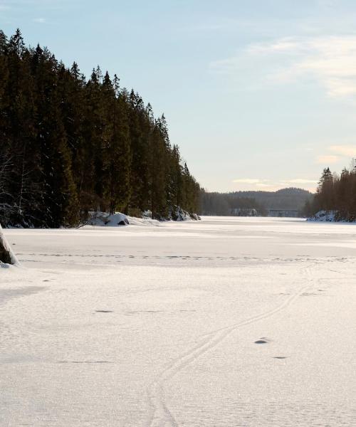 Et smukt billede af Ski