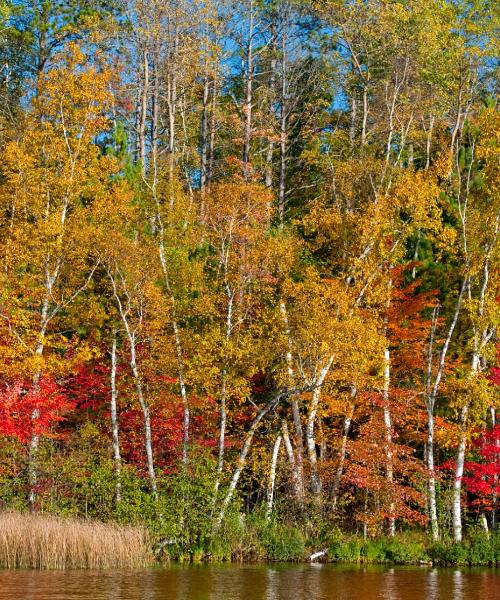 A beautiful view of Neenah