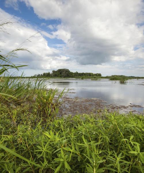 A beautiful view of Hardeeville