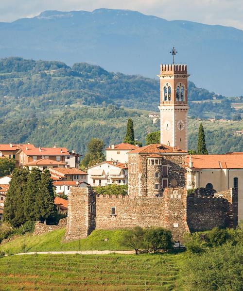 Et smukt billede af Arzignano