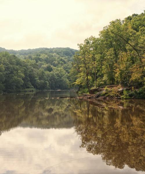 A beautiful view of Lithia Springs